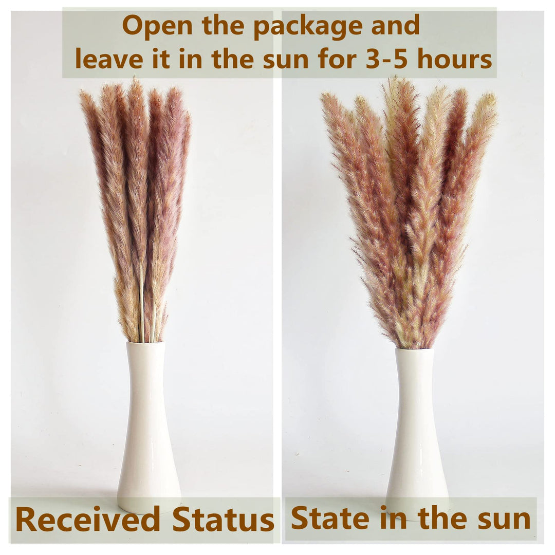 110 PCS of Boho Pampas Grass Decor, Naturally Dried Pompas, Bunny Tails Dried Flowers, and dried eucalyptus. Perfect for Weddings, Boho Party Decorations, and Table Decor. 