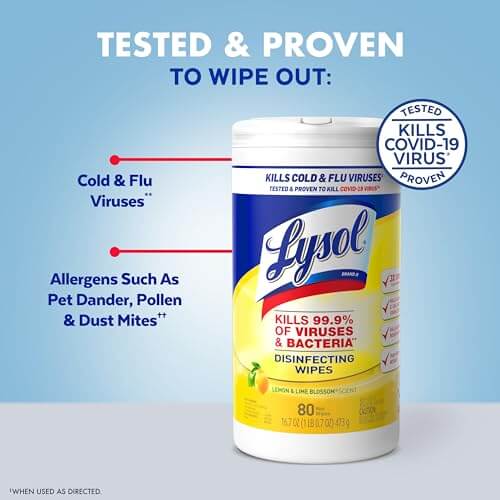 Lysol Disinfectant Wipes, Multi-Surface Antibacterial Cleaning Wipes, For Disinfecting and Cleaning, Lemon and Lime Blossom, Pack of 4 (Packaging may vary)