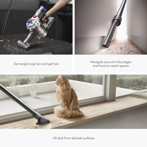 Dyson V8 Plus Cordless Vacuum