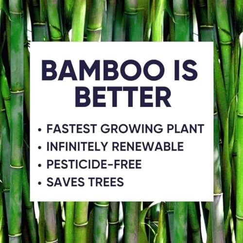 Save Trees Bamboo Toilet Paper -24 Rolls Of Septic Safe Organic Toilet Paper 3-ply, 300 Sheets Per Roll - PFAs Free, FSC Certified, Plastic & Chemical Free - For Home, Boat & RV Use