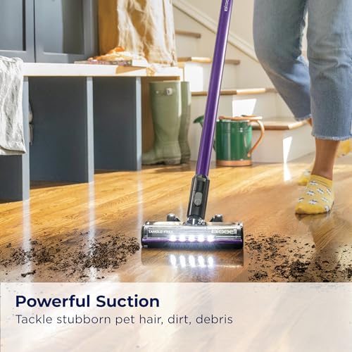 BISSELL CleanView XR Pet Vacuum