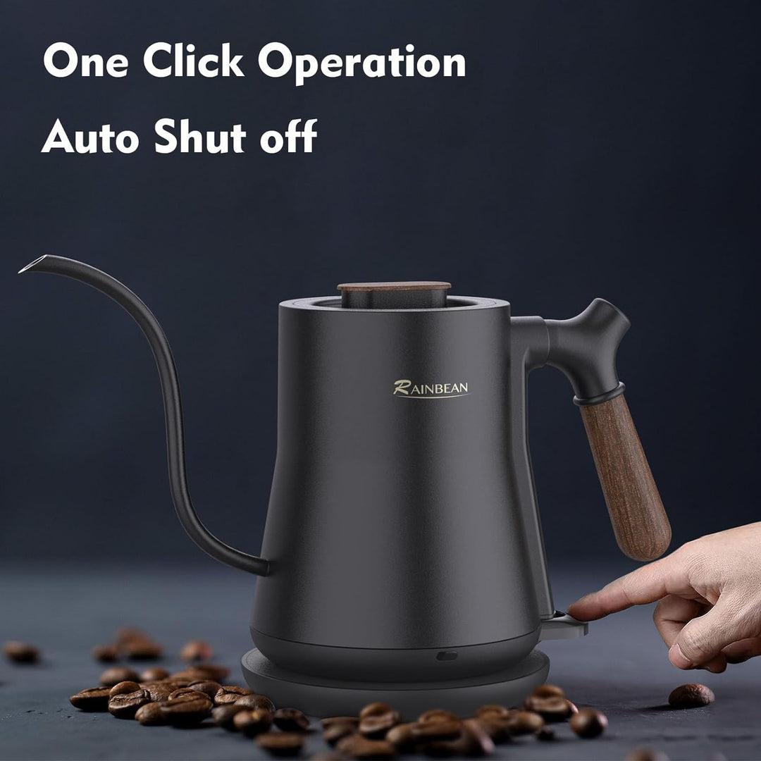 Rainbean Gooseneck Electric Kettle