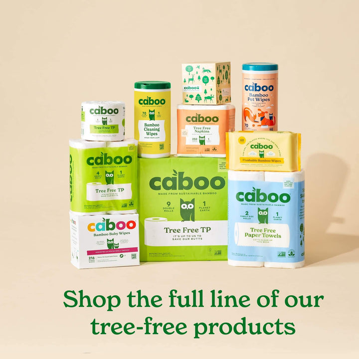 Caboo Tree Free Toilet Paper, Septic Safe Toilet Tissue, Eco Friendly, Chemical Free, Non Toxic, 2 Ply, Pack of 24 Double Rolls, 300 Sheets Per Roll