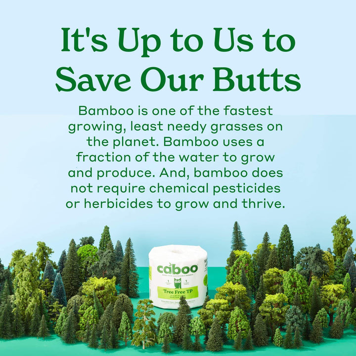 Caboo Tree Free Toilet Paper, Septic Safe Toilet Tissue, Eco Friendly, Chemical Free, Non Toxic, 2 Ply, Pack of 24 Double Rolls, 300 Sheets Per Roll