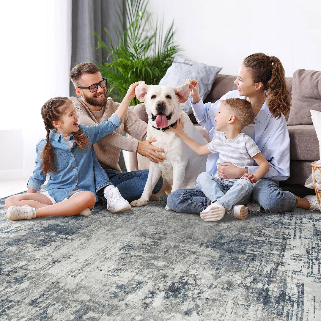 8x10 Area Rugs for Living Room Bedroom Dining Room Washable Blue Grey 