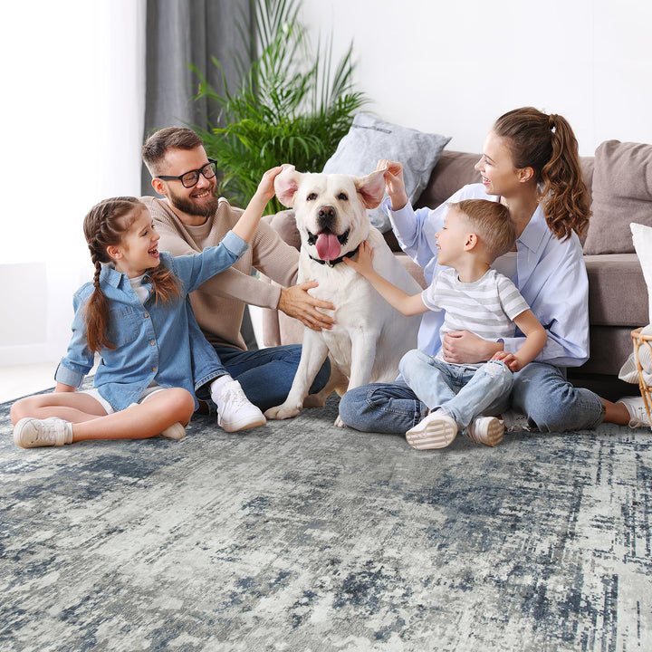 8x10 Area Rugs for Living Room Bedroom Dining Room Washable Blue Grey 