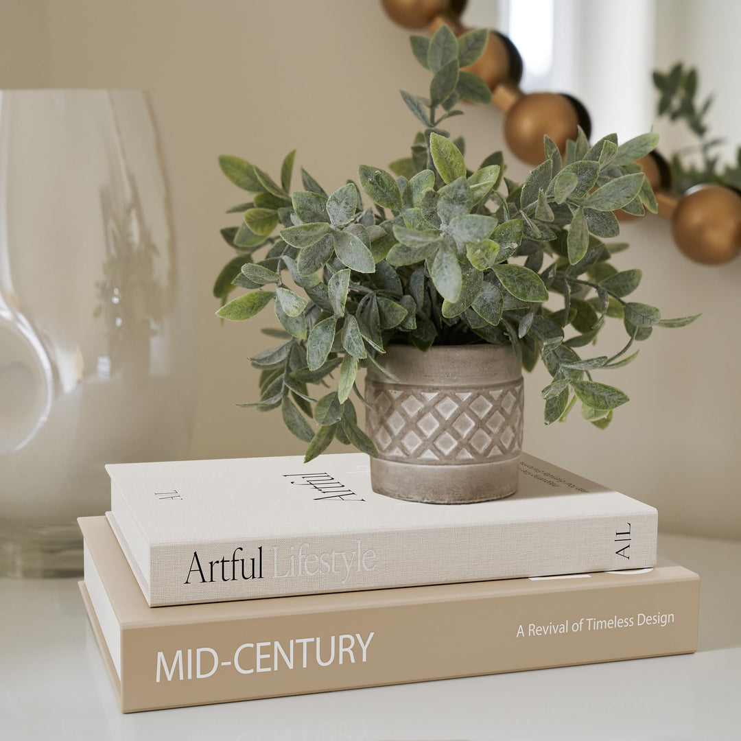 Aesthetic Decorative Books Set of 2 - Stylish Boxes for Coffee Table Decor 