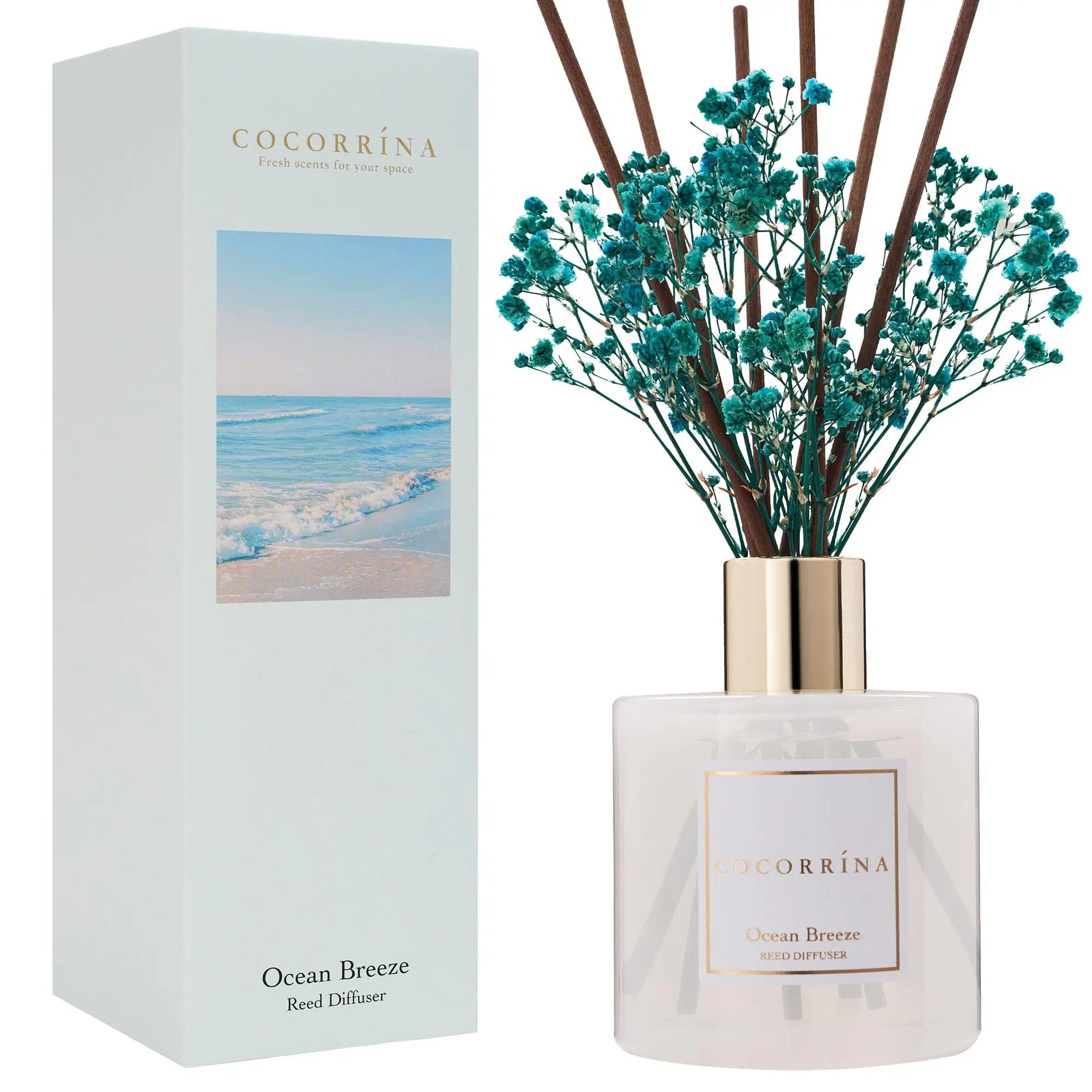 COCORRÍNA Reed Diffuser - Ocean Breeze Scented Diffuser with 8 Sticks Home Fragrance Reed Diffuser for Bathroom Shelf Decor 