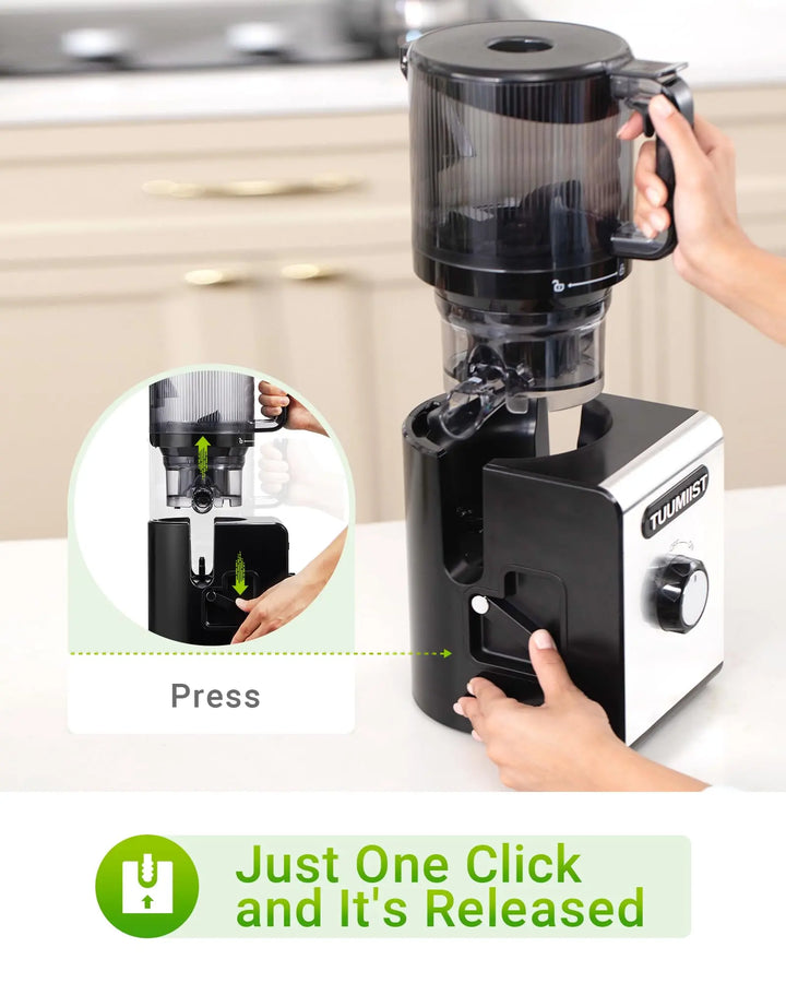 Cold Press Juicer Machine, 6.5" Large Feed Chute Masticating Extractor, Easy to Clean for Whole Fruits & Vegetables, High Yield 