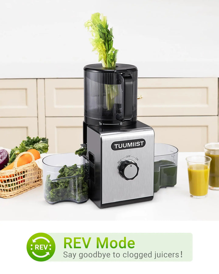 Cold Press Juicer Machine, 6.5" Large Feed Chute Masticating Extractor, Easy to Clean for Whole Fruits & Vegetables, High Yield 