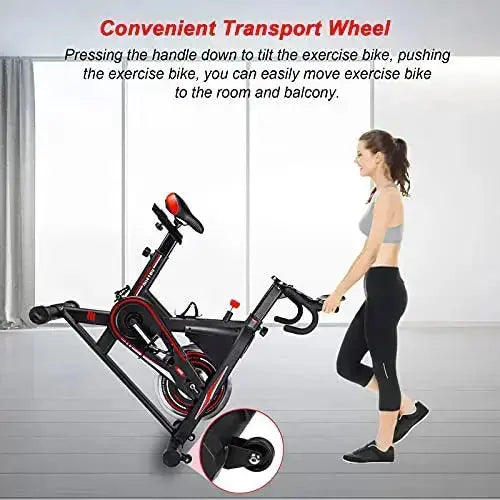 DMASUN Indoor Cycling Stationary Exercise Bike - Black