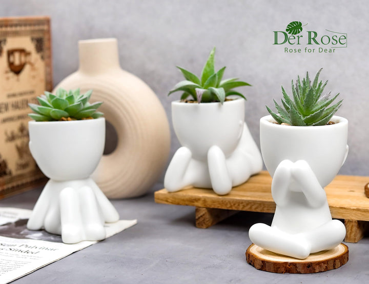 Der Rose 3 Pack Fake Succulents in White Human-Shaped Pots for Desk Decor 