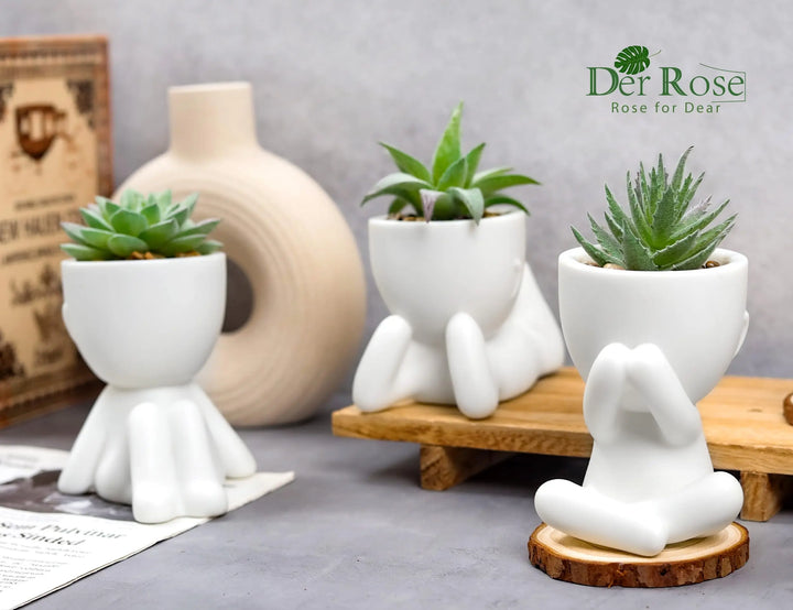 Der Rose 3 Pack Fake Succulents in White Human-Shaped Pots for Desk Decor 