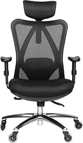 Duramont Ergonomic Office Chair | Adjustable Chair with Lumbar Support - Black Duramont