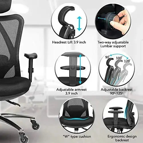 Duramont Ergonomic Office Chair | Adjustable Chair with Lumbar Support - Black Duramont