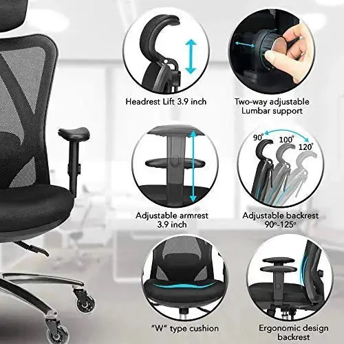 Sihoo Ergonomic Adjustable Office Chair -M57, Best4Kids