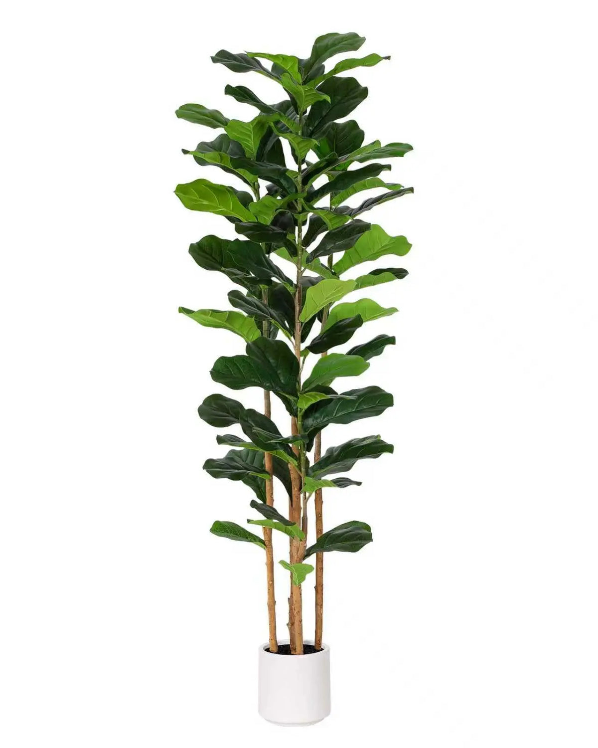 FLOWORLD Fiddle Leaf Fig Tree, 6FT Faux Trees Indoor,Tall FakeTree with Decorative planters,Natural Wood Trunk & Realistic Fiddle Leaf, Artificial Plants for Home Office, Living Room, Outdoor 