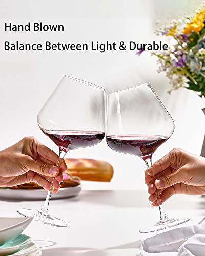 https://modernspacegallery.com/cdn/shop/files/JBHO-Wine-Decanter-with-Red-Wine-Glasses-set-of-2-and-Cleaning-Beads_-21-oz-and-56-oz_-Full-Bottle-Wine-Pitcher_-Burgundy-Wine-Glasses_-Wine-Carafe-Aerator-and-Glasses-Set_-Wine-Decan_95ba0e0d-300b-4de4-89f6-11a4ecc11cde.jpg?v=1697373568&width=1445