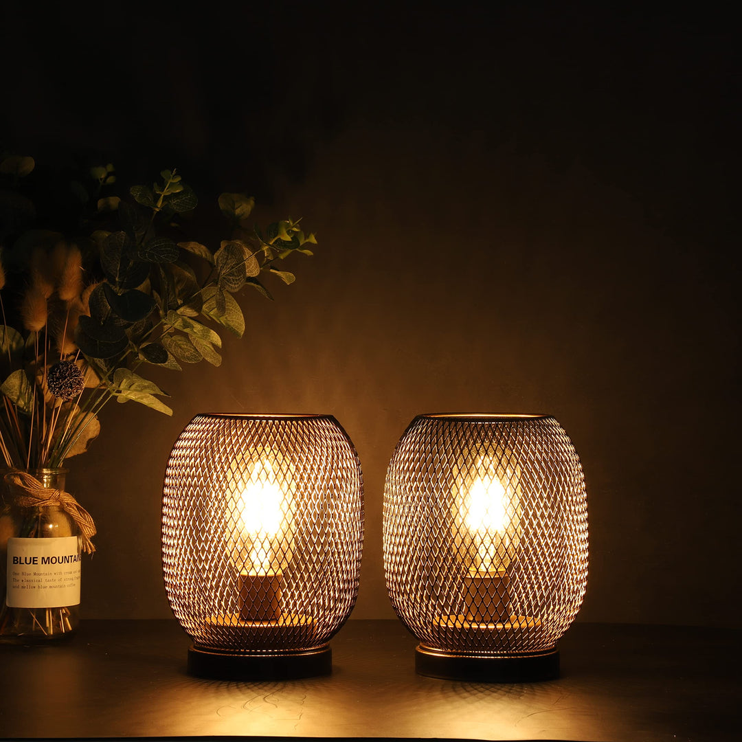 JHY DESIGN Set of 2 Metal Cage LED Lantern Battery Powered,Cordless Accent Light with LED.Great for Weddings,Parties,Patio,Events for Indoors Outdoors（Round Shape 