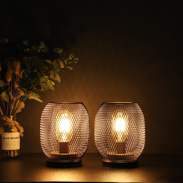 JHY DESIGN Set of 2 Metal Cage LED Lantern Battery Powered,Cordless Accent Light with LED.Great for Weddings,Parties,Patio,Events for Indoors Outdoors（Round Shape 