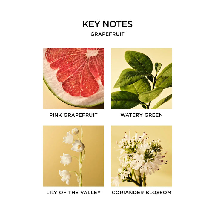 NEST New York Reed Diffuser, Grapefruit, 5.9 fl oz