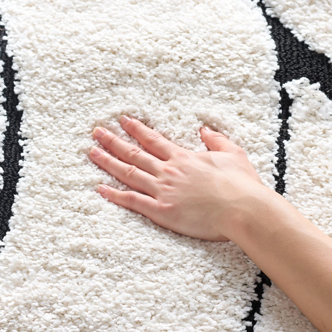 SAFAVIEH Area Rug 8x10, Florida Shag Collection, Ivory &amp; Black