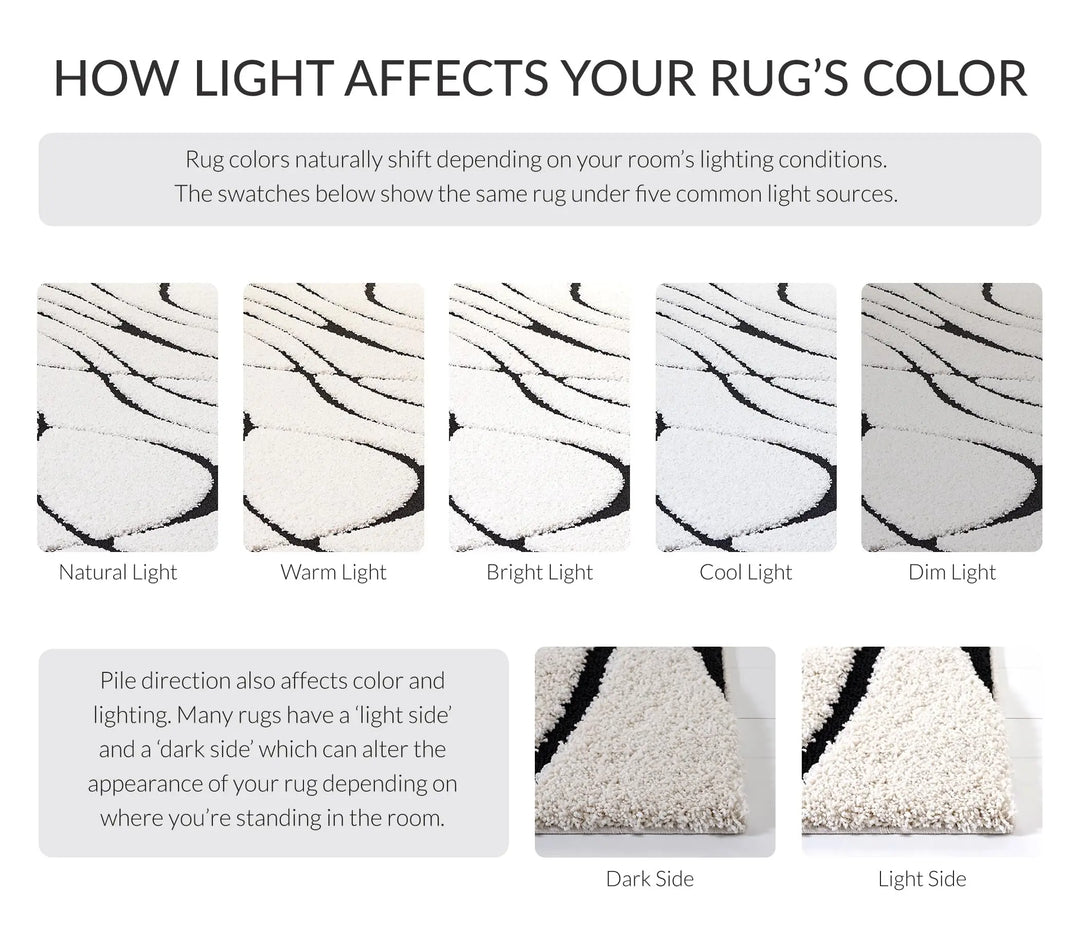 SAFAVIEH Area Rug 8x10, Florida Shag Collection, Ivory &amp; Black
