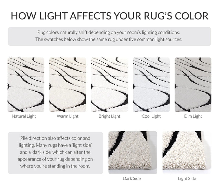 SAFAVIEH Area Rug 8x10, Florida Shag Collection, Ivory &amp; Black