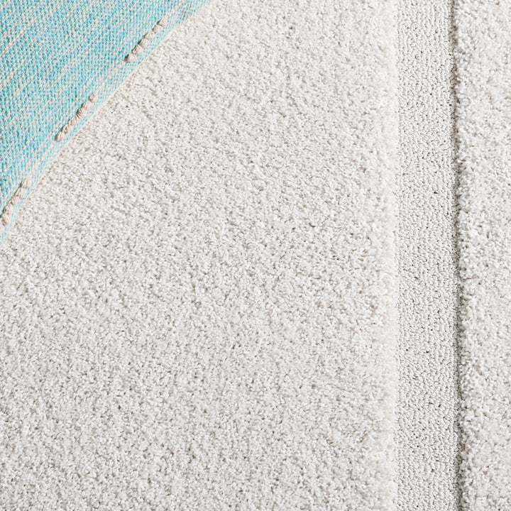 SAFAVIEH Florida Shag Rug 8&