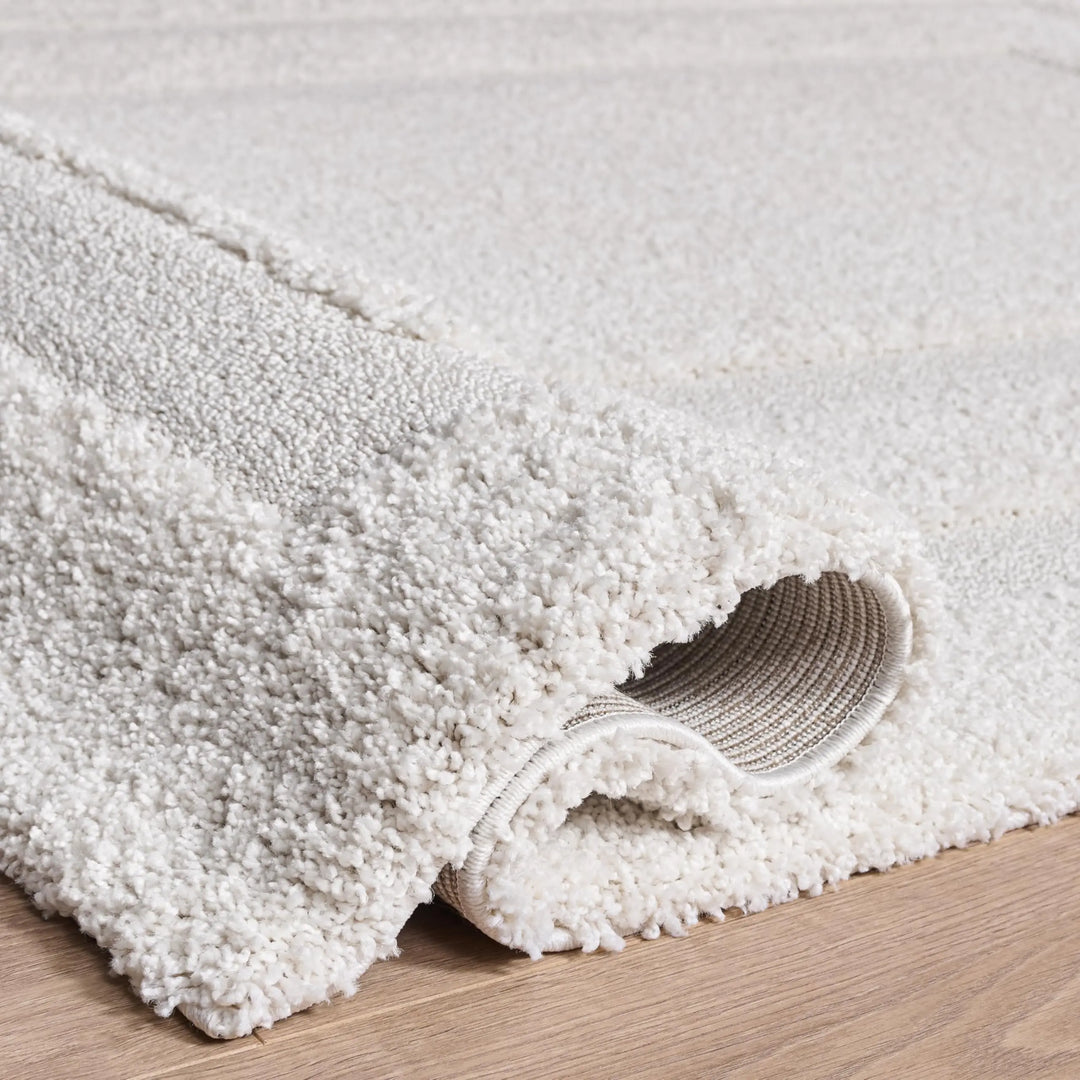 SAFAVIEH Florida Shag Rug 8&
