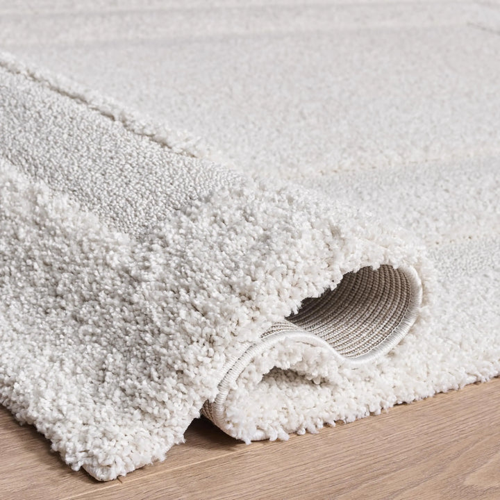 SAFAVIEH Florida Shag Rug 8&