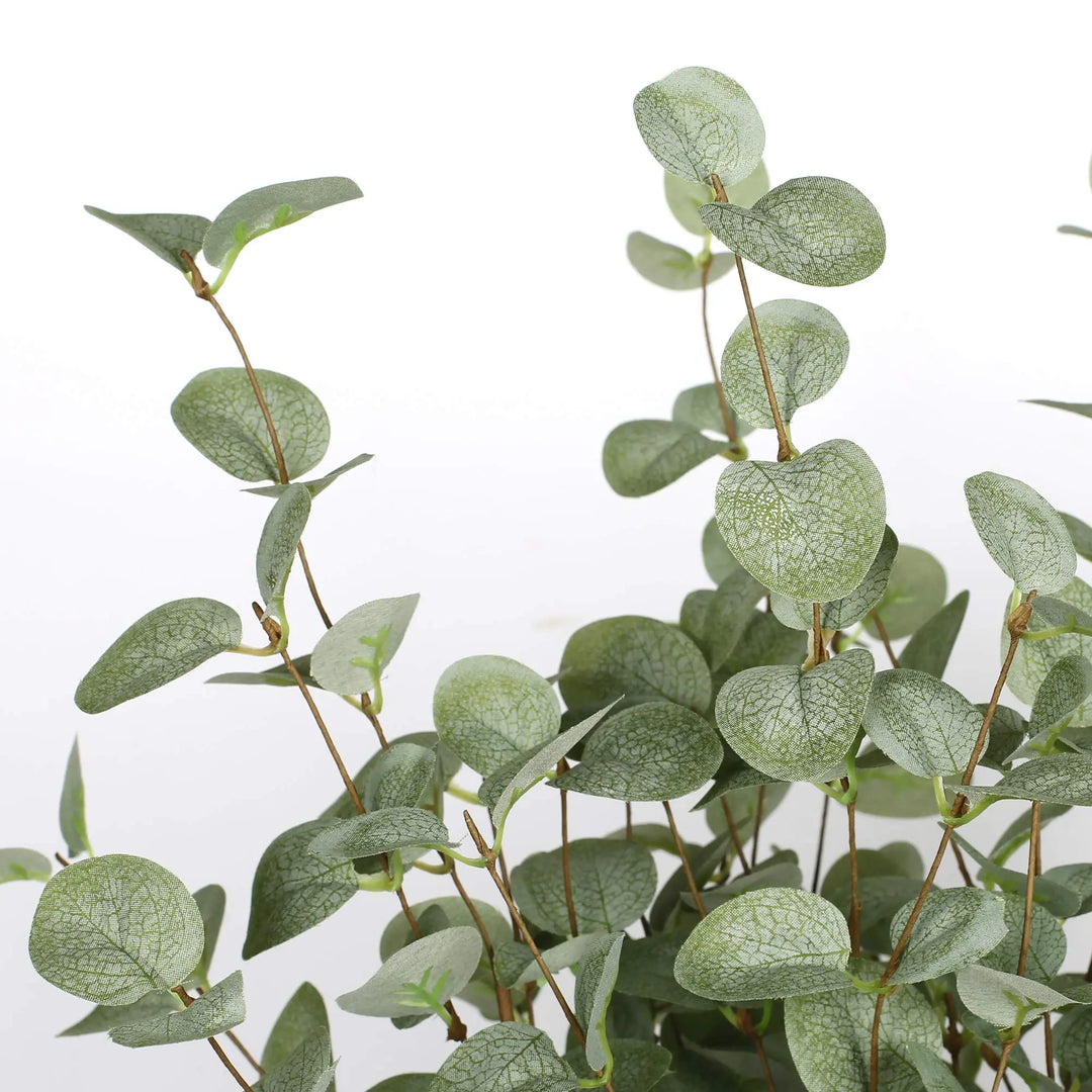 VGIA Eucalyptus Stems, Set of 6, 27 Inch, Silk Greenery