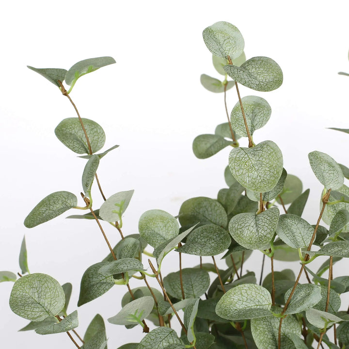 VGIA Eucalyptus Stems, Set of 6, 27 Inch, Silk Greenery