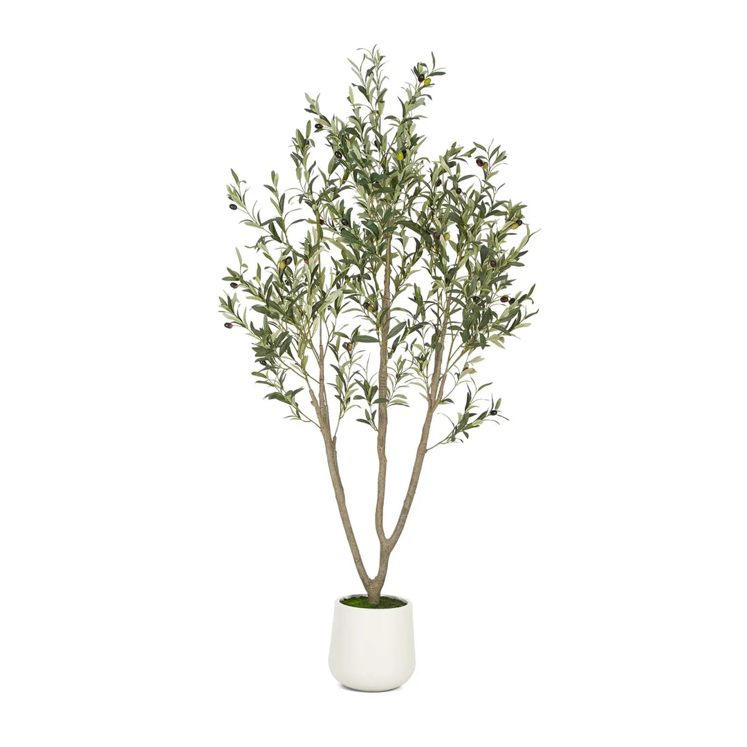 VIVATREES Olive Tree Artificial Indoor, 6ft, with White Tall Planter