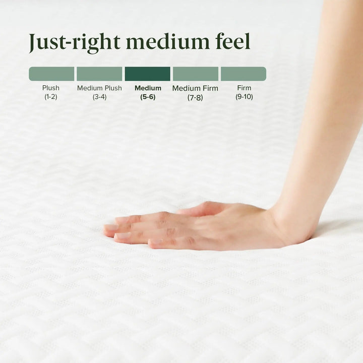 Zinus 8 Inch Twin Cooling Essential Memory Foam Mattress, Medium Feel 