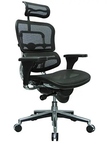 Ergohuman Office Chair with Headrest | Swivel Mesh Chair - Black Ergohuman