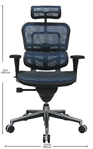 Ergohuman Office Chair with Headrest | Swivel Mesh Chair - Black Ergohuman