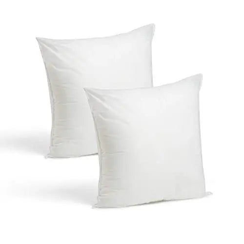 Foamily Throw Pillows Insert Set of 2