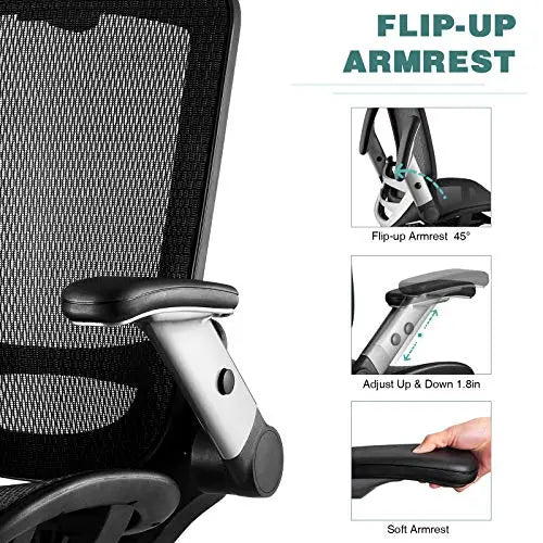 Gabrylly Ergonomic Office Chair | High Back Swivel Mesh Chair - Black GABRYLLY