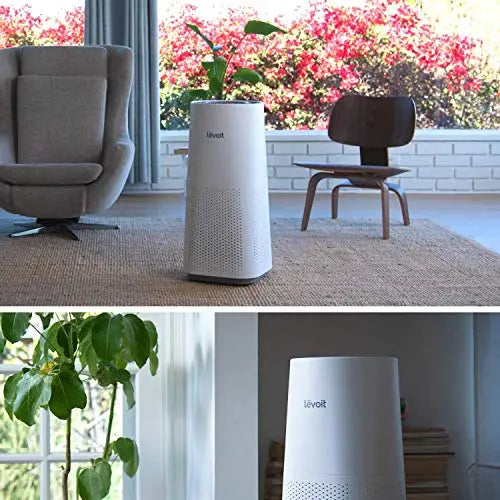 LEVOIT Air Purifier for Large Room with H13 True HEPA Filter - White LEVOIT