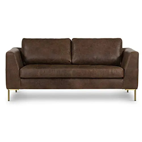 POLY and BARK Calle 75" Apartment Sofa in Full-Grain Pure-Aniline Italian Tanned Leather - Brown Stone and Brass Legs POLY & BARK