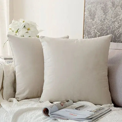 Set of 2 Velvet Solid Decorative Modern Throw Pillow Covers | Cushion Pillowcases, 18"x18" - Cream White MIULEE