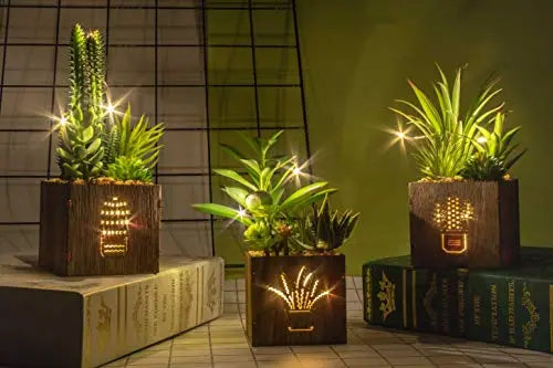 Set of 3 Artificial Succulent Plants with Led Lights in Wooden Box BEGONDIS