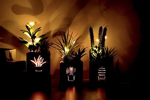 Set of 3 Artificial Succulent Plants with Led Lights in Wooden Box BEGONDIS