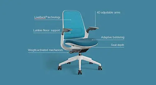 Steelcase Series 1 Office Chair, LiveBack Flexor System - Nickel Steelcase