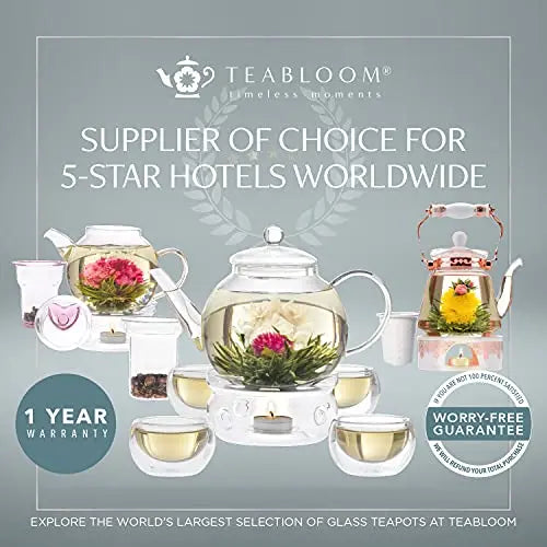 https://modernspacegallery.com/cdn/shop/products/Teabloom-Celebration-Complete-Tea-Set--Stovetop-Safe-Glass-Teapot---40-OZ---1.2-L-Teabloom-1664549248.jpg?v=1664549249&width=1445